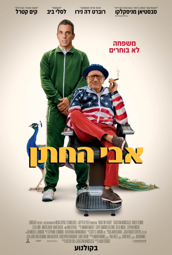 אבי החתן poster