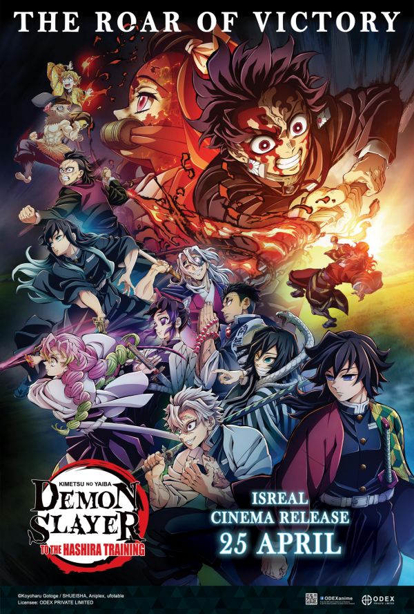 Demon Slayer: Kimetsu no Yaiba - Hashira Training poster
